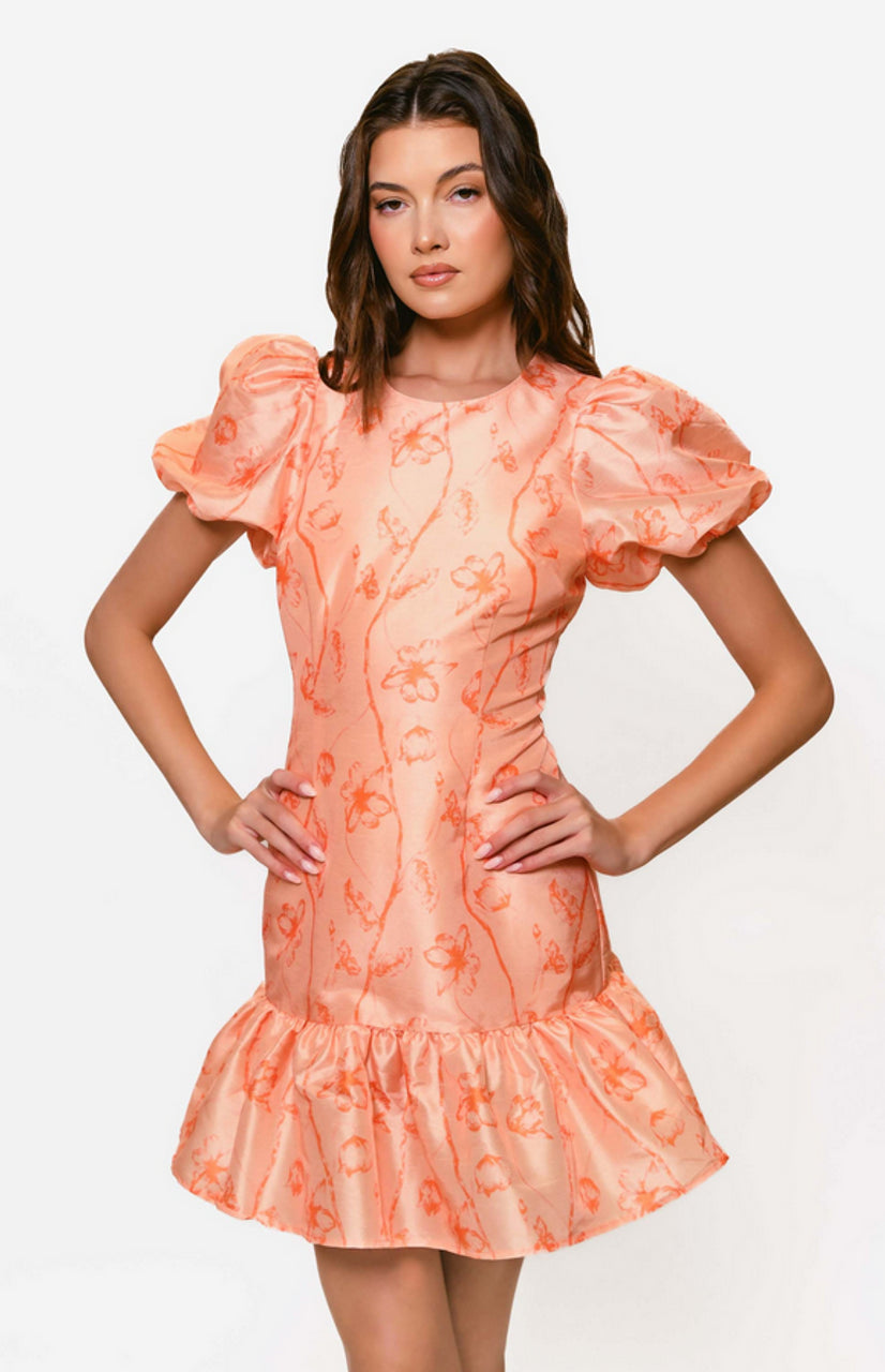 Rayan Dress