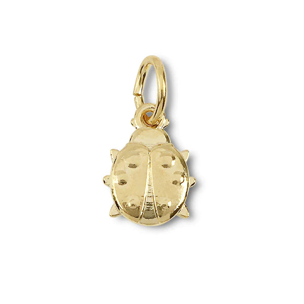 Ladybug Charm Necklace